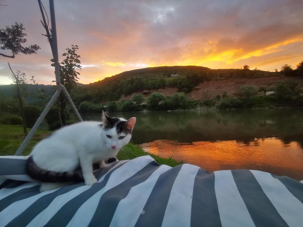 Prenociste Na Drini Foca Acomodação com café da manhã Exterior foto